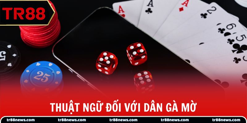 Thuật ngữ đối với dân gà mờ