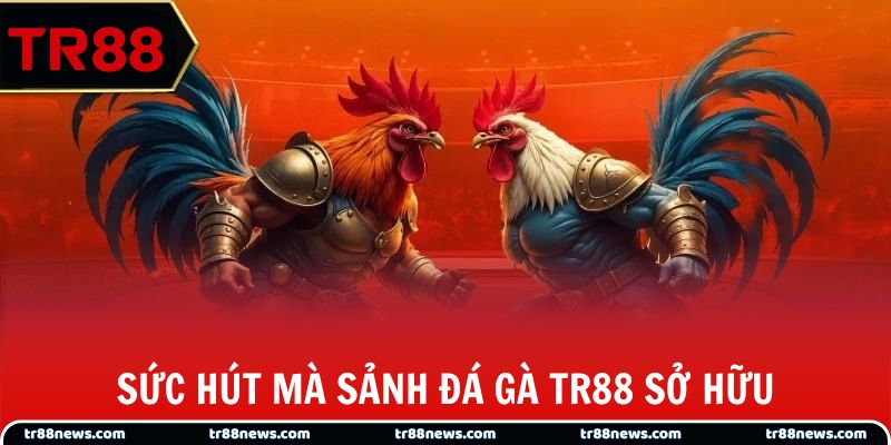 Sức hút mà sảnh đá gà TR88 sở hữu